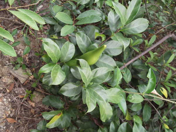 大榭消防进广场宣防火 群众喜获“防火锦囊”[_xingkong体育官网登录(图3) xingkong体育官网登录