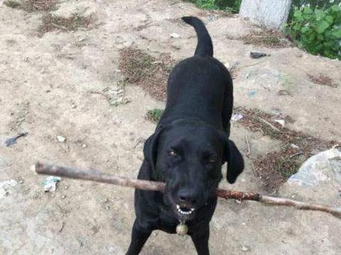 xingkong体育官网登录