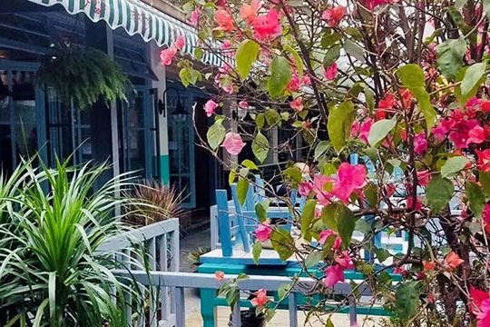 2010到2020年 美国下水了14艘驱逐舰 中国呢?(下)|xingkong体育官网登录(图9) 星空官网登录