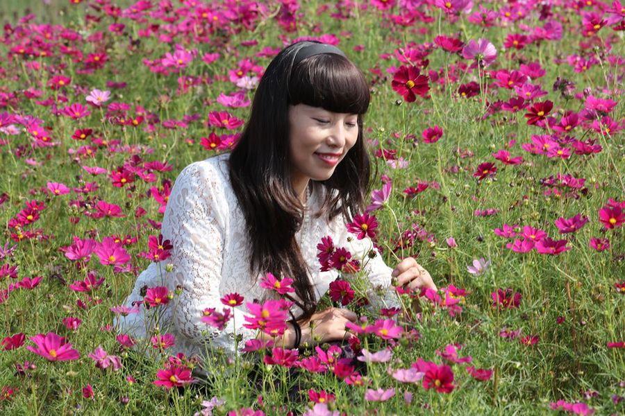 泉州中心市区将新建50所小学27所初中|星空体育官网(图1)