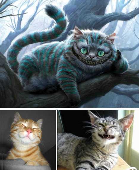 ‘xingkong体育官网登录’吉尔晒视频球迷想起他，泰山队史首个4号中卫，足协杯夺冠功勋(图2)