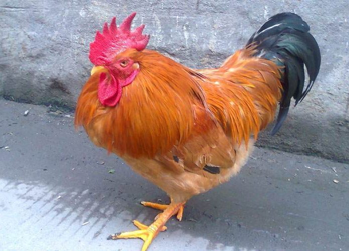 福建宁德2家单位存在重大火灾隐患被挂牌督办:星空官网登录(图4) xingkong体育官网登录