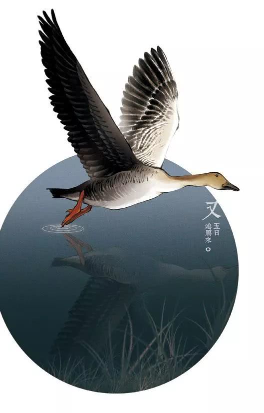 巴坎布即将复出！帮助国安队调整积极状态【星空体育官网】(图1)