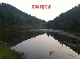 xingkong体育官网登录