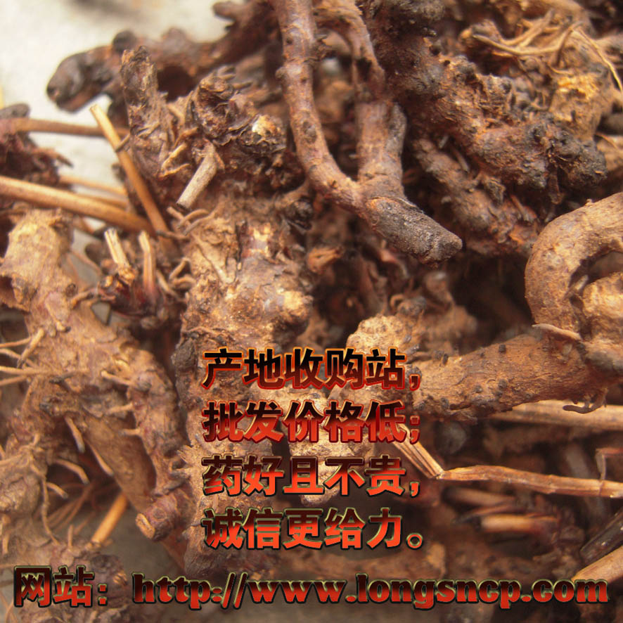 xingkong体育官网登录