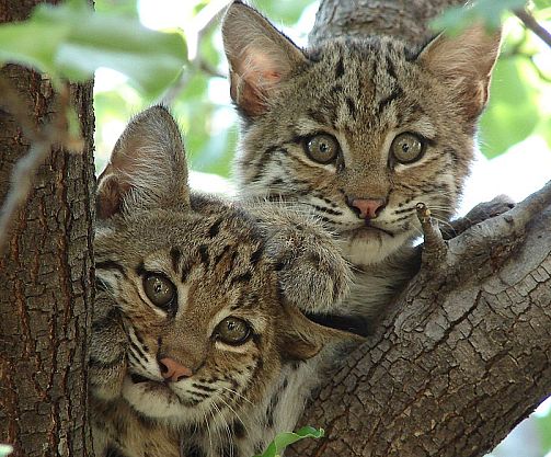 “xingkong体育官网登录”
马竞门将乌龙球遭皇马0比2落败中止联赛七连胜(图3) 星空官网登录