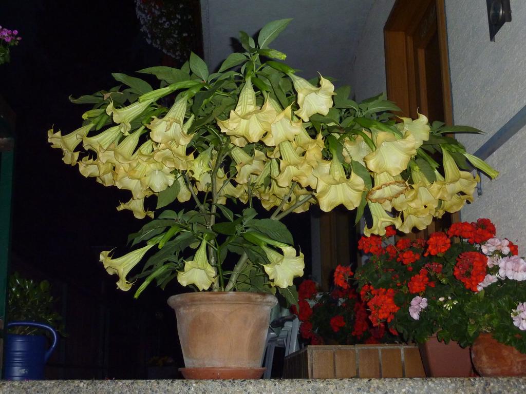 【xingkong体育官网登录】球员被逼上派出所讨薪 大连球员致信足协:球队欠薪2年 已超700万(图3) 星空官网登录