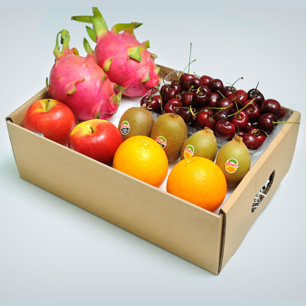 xingkong体育官网登录