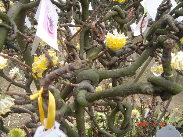 最心爱的人!哥本哈根警方:欢送爱尔兰球迷常来-星空体育官网(图1) xingkong体育官网登录