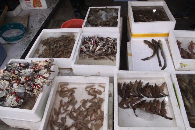 星空官网登录|大连后防两大位置都急需强援助阵!球队又一引援人选浮出水面(图1) 星空官网登录