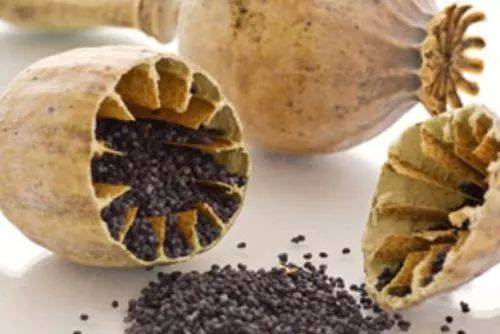 xingkong体育官网登录-
中甲联赛将增加降级名额 2018赛季这几支球队悬了(图3) 星空体育官网