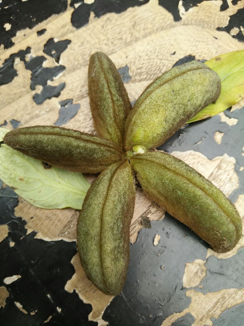 星空体育官网-咸阳消防三项举措全力推进冬防宣传工作(图2) xingkong体育官网登录