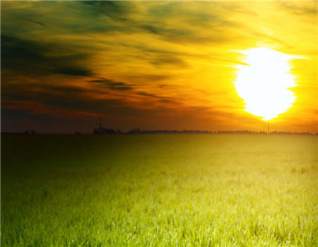 星空官网登录_
肖百奇属猪的人2015年6月整体运势(图2)