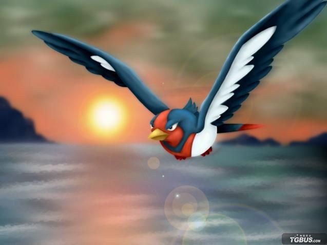 xingkong.com_
陆俊本应成为中国足坛最佳裁判 却受贿沦为黑哨 他现在怎样了？(图2)